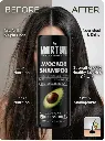 avacodo Capture.webp