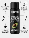 avacado.webp