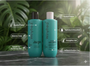 Winyfred Anti-Dandruff Shampoo & Conditioner | Scalp Refresh & Hydrate | Combo Pack (250 ml)